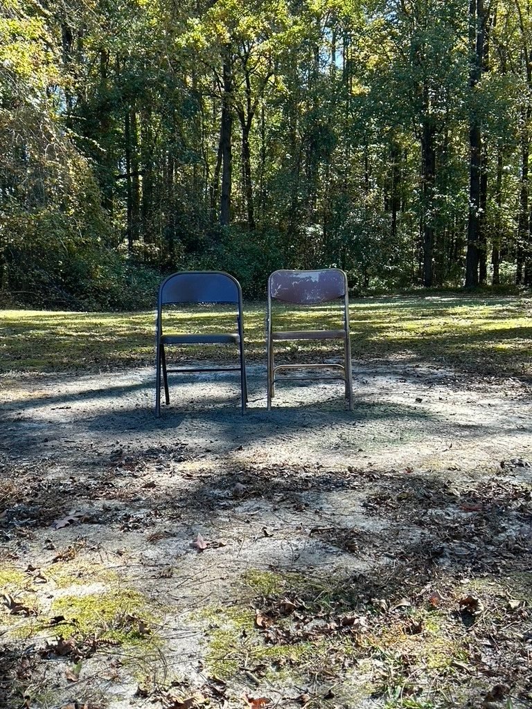 Nature photograph — Raleigh, North Carolina